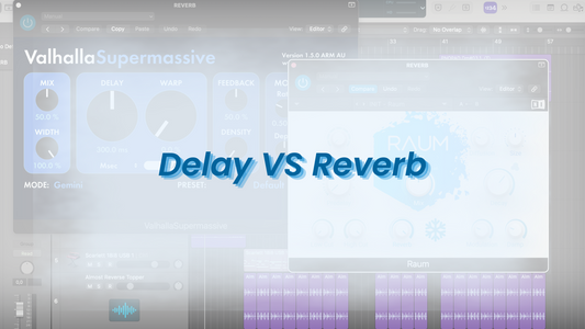 Delay and Reverb VST's and DAW with text delay vs reverb