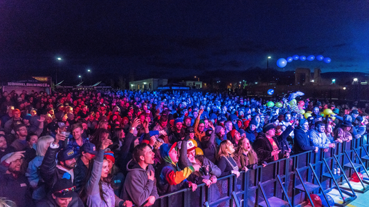 Crowd in the music festival